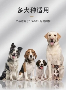 电击项圈与止吠器 科学应对宠物吠叫的正确选择