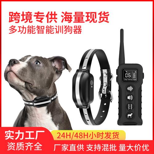 科技与关爱 止吠器，构筑和谐人宠生活新纽带